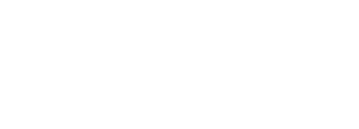 NYCIDA White Logo