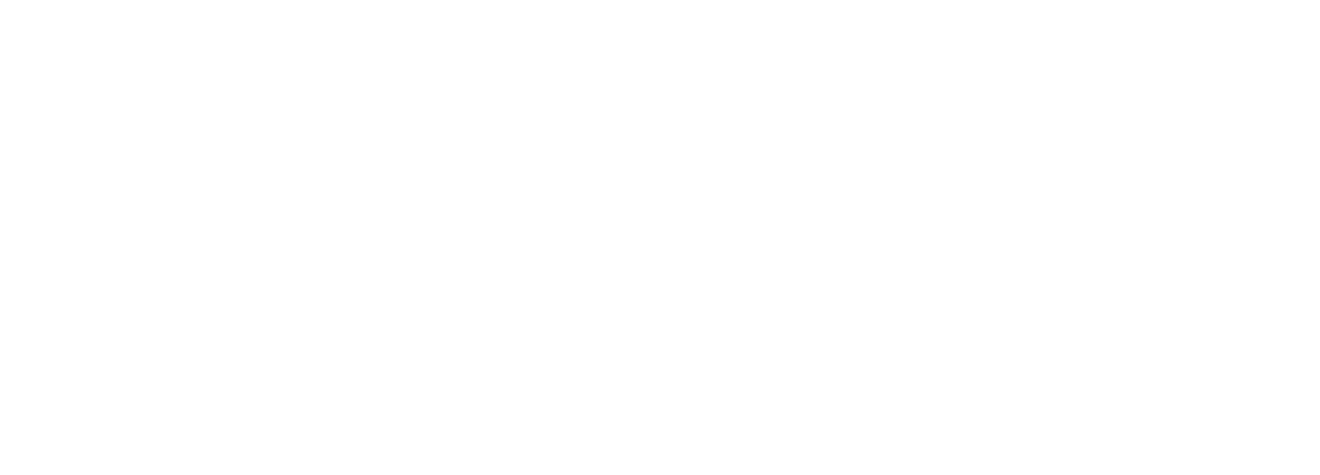 NYCNCC White Logo.