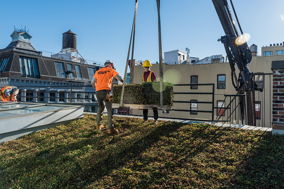Two construction workers install sections of green roofing on a rooftop in Brooklyn using a crane, surrounded by buildings and a clear blue sky.