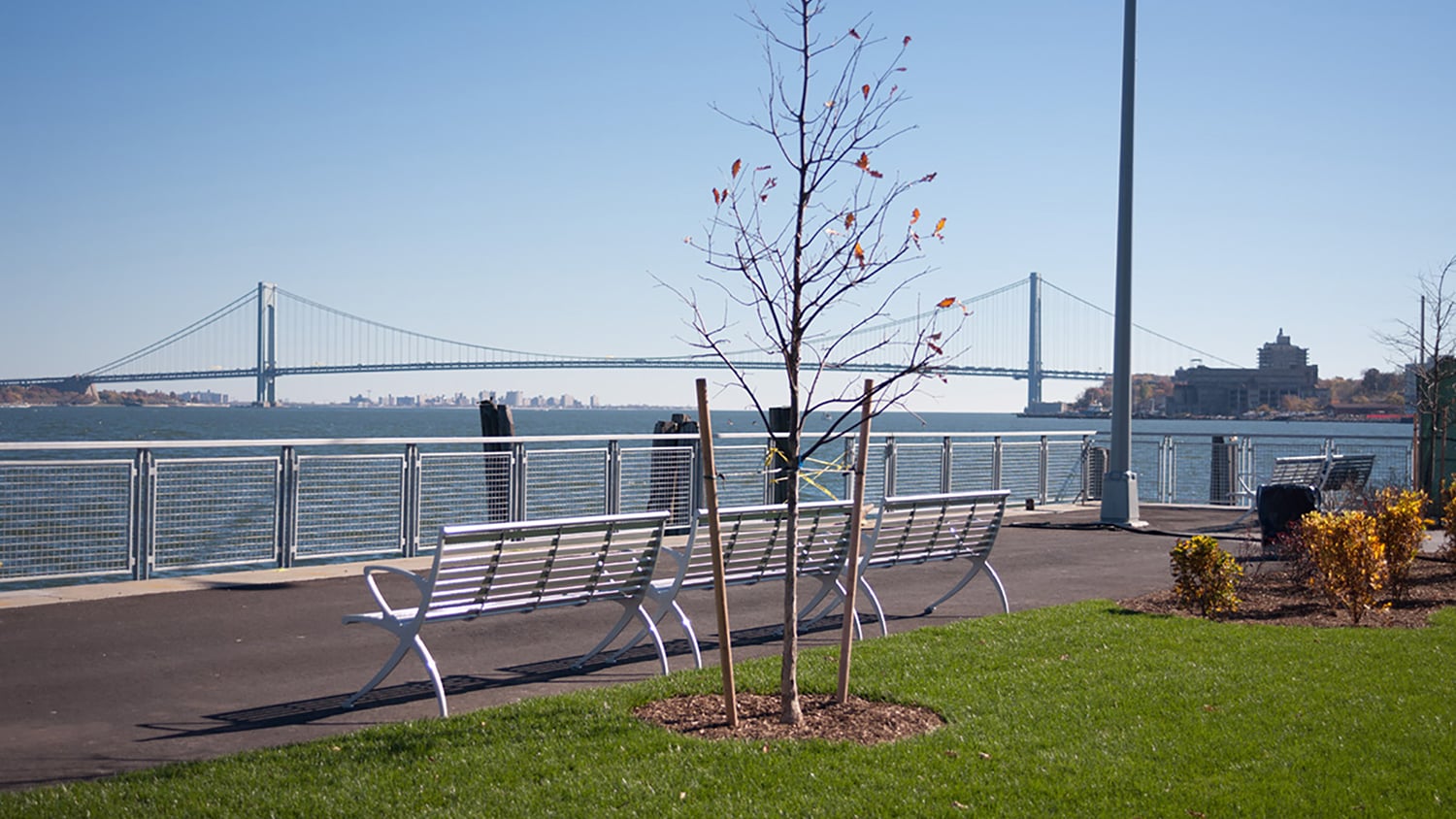 Photo of New Stapleton Waterfront by John Bartelstone showing a riverside park scene with white benches and a small tree in the foreground. In the background, a suspension bridge spans across the water under a clear blue sky. A path runs alongside the river with neatly trimmed grass and shrubs.