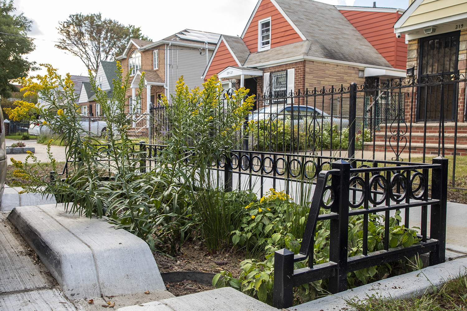 A small garden with tall yellow flowers and green plants is bordered by a black metal fence along the sidewalk in front of brick houses in a residential neighborhood.