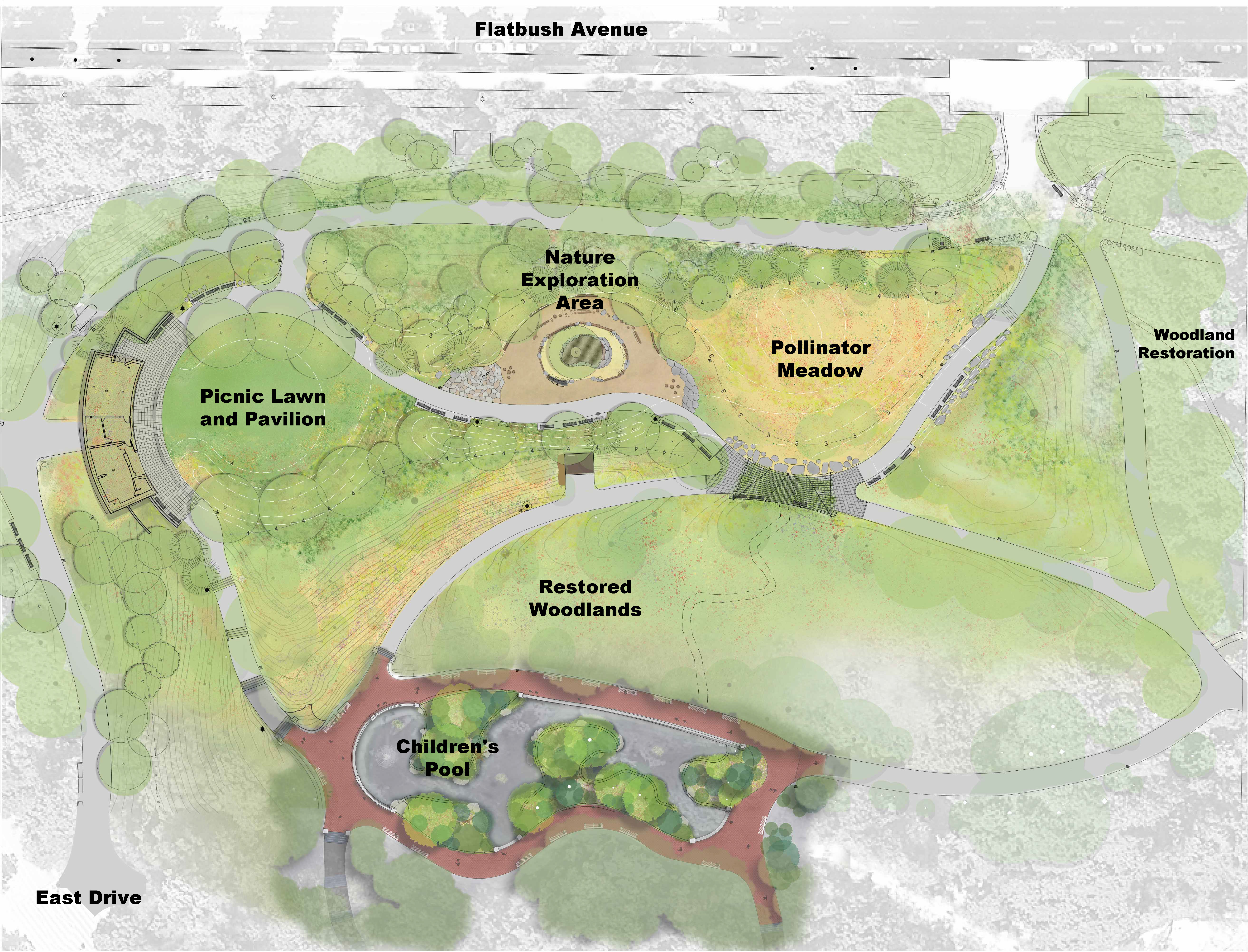 Rendering of a labeled map shows areas of a park, including a picnic lawn and pavilion, nature exploration area, pollinator meadow, restored woodlands, woodland restoration, and children's pool, with paths and drives marked.
