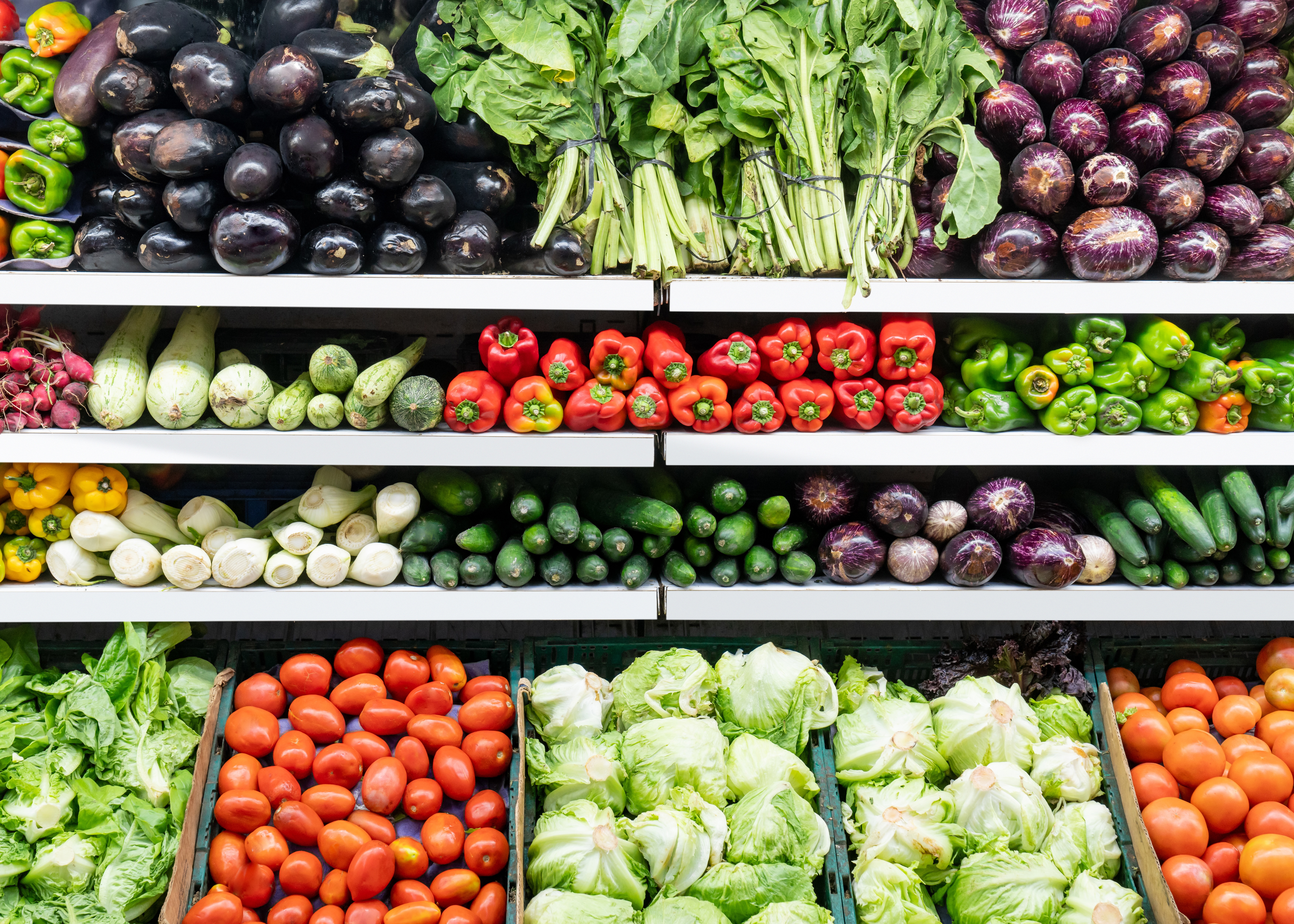 Shelves of fresh vegetables in a grocery store, including eggplants, leafy greens, peppers, cucumbers, tomatoes, and cabbages, all neatly arranged in rows.