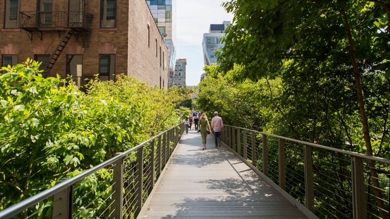 The High Line, Photo by Brittany Petronella The High Line, Photo by Brittany Petronella