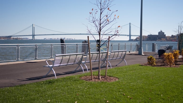 A riverside park, New Stapleton Waterfront, with a metal bench facing the water. A young, bare tree stands nearby. In the background, a suspension bridge stretches across the river beneath a clear blue sky. A strip of green grass and some shrubs are in the foreground.