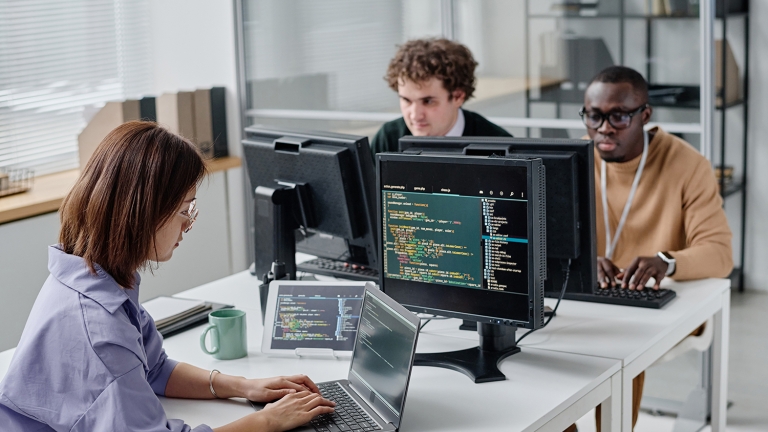 People working on computers in IT office