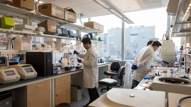 Scientists wearing lab coats and gloves work in a modern laboratory filled with equipment and tools. They are focused on various tasks at separate stations. Large windows in the background let in natural light.