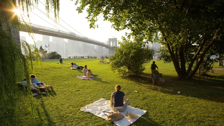 People relaxing in Brooklyn Bridge Park with skyline and bridge in background