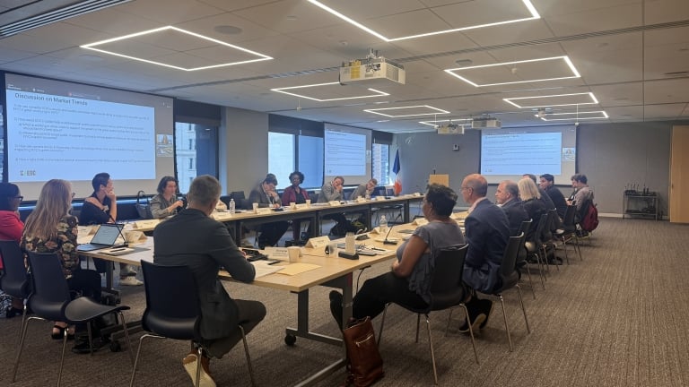 New York City Economic Development Corporation Green Economy Advisory Council members sit around a large conference table in a meeting room with presentations displayed on screens at both ends.