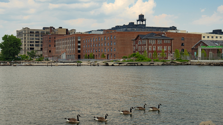 Five geese swim in a calm river with industrial brick buildings and a water tower in the background, under a partly cloudy sky.