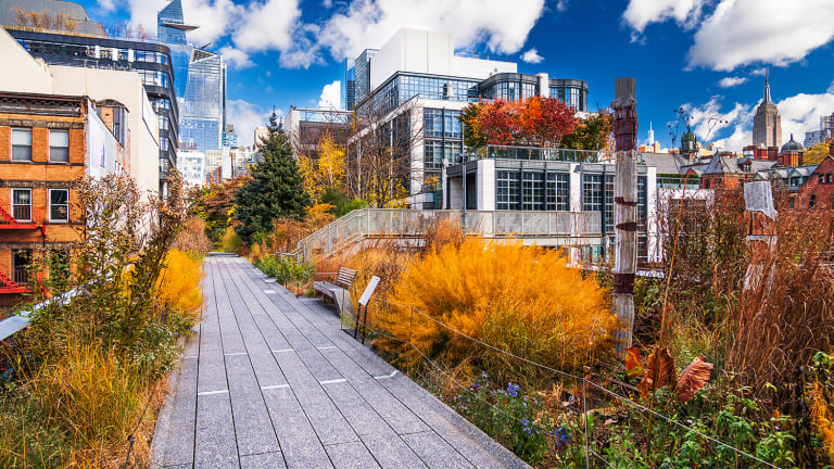 The high Line path lined with autumn plants winding between modern glass buildings under a blue sky with clouds. Benches and colorful foliage add vibrancy to the urban scene.