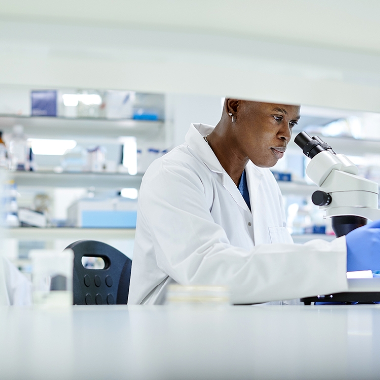 New York City S Stem Ecosystem Nycedc