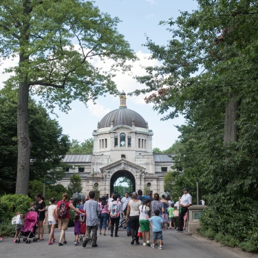 Bronx Zoo Bronx Zoo