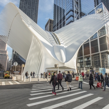 The Oculus. Photo by Julienne Schaer/NYC and Company.