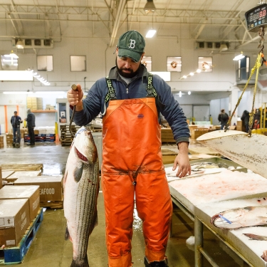 Hunts Point Fish Market. Photo by Kreg Holt/NYCEDC.