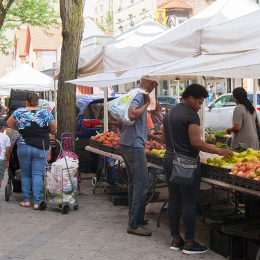 People shop for fresh produce outside at Jamica Farmers Market, browsing tables filled with fruit under white tents. Some carry bags or push carts, while others select items. Trees line the sidewalk, and cars are parked nearby.