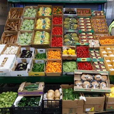 A vibrant display of various fruits and vegetables in cardboard boxes, including bananas, cabbages, peppers, eggplants, and mushrooms. The produce is arranged in a tiered setup against a blue shutter background. Image represents Food Retail Expansion to Support Health program, and was taken at Hunts Point Produce Market by Kreg Holt.