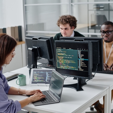 People working on computers in IT office