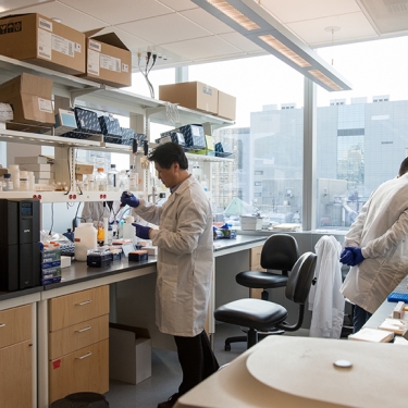 Scientists Working in Modern Medical Research Laboratory.