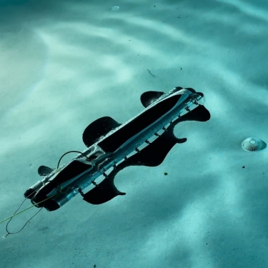 A Pliant underwater drone moves along the bottom of a clear swimming pool, with small debris and a drain cover visible on the pool floor. Sunlight creates rippling patterns on the water.