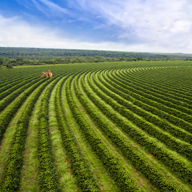 Aerial view of a large, green agricultural field with evenly spaced, curved crop rows and a tractor working in the distance under a partly cloudy sky.