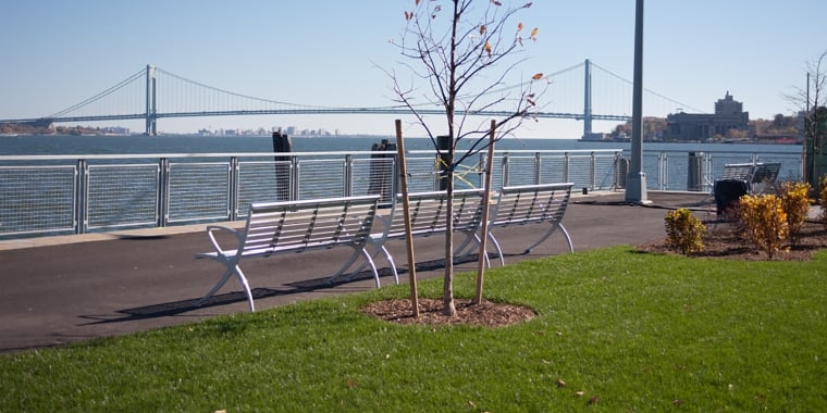 A riverside park, New Stapleton Waterfront, with a metal bench facing the water. A young, bare tree stands nearby. In the background, a suspension bridge stretches across the river beneath a clear blue sky. A strip of green grass and some shrubs are in the foreground.