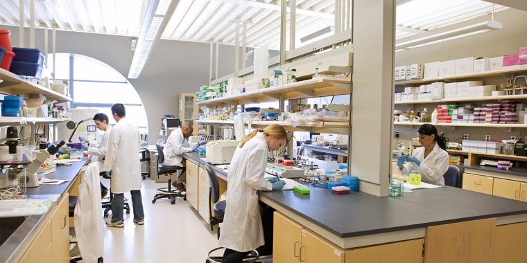 Students working in a lab.