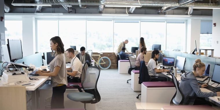 A modern estate office with several people working at desks equipped with computers. Some are seated while others stand at adjustable desks. Large windows allow natural light in, and theres a bicycle near the windows. The decor is minimal and modern.