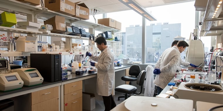 Scientists Working in Modern Medical Research Laboratory.