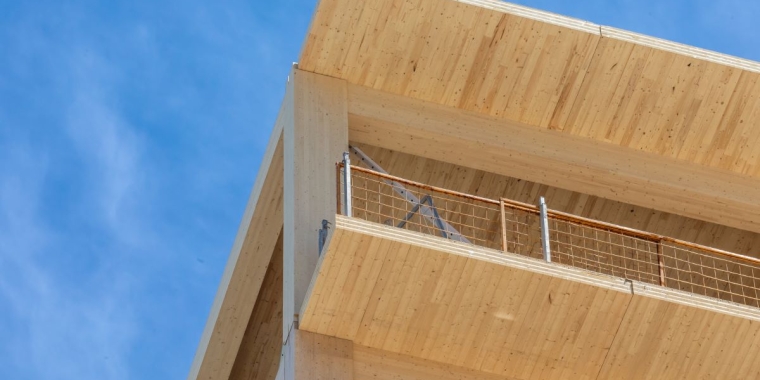 Engineered wood building structure
