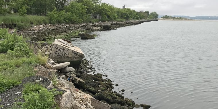 A rocky shoreline with scattered debris and a concrete block marked with graffiti sits along the edge of calm water under an overcast sky, with trees and greenery lining the coast.