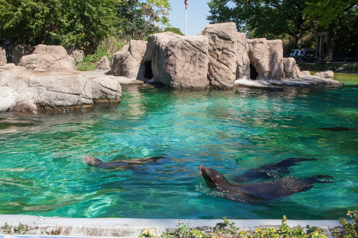 Bronx Zoo. Photo by Christopher Postlewaite/NYC and Company Bronx Zoo. Photo by Christopher Postlewaite/NYC and Company
