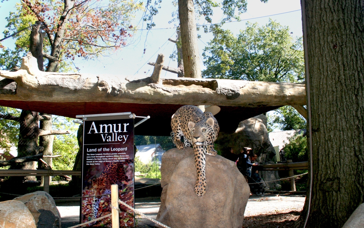 Amur Valley at the Staten Island Zoo. Photo courtesy of Staten Island Zoo.