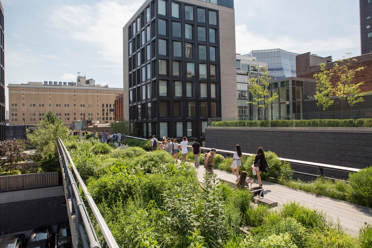 The High Line, Photo by Brittany Petronella