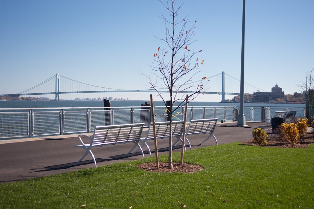 A riverside park, New Stapleton Waterfront, with a metal bench facing the water. A young, bare tree stands nearby. In the background, a suspension bridge stretches across the river beneath a clear blue sky. A strip of green grass and some shrubs are in the foreground.