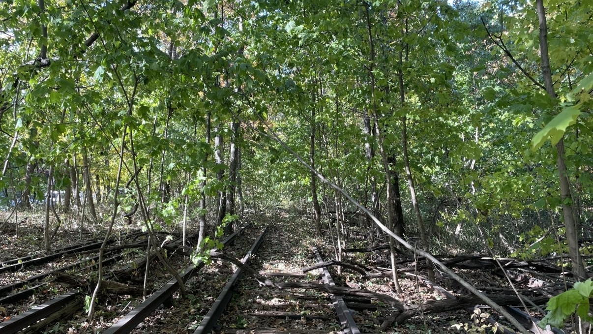 Overgrown train tracks in Forest Park, Queens, covered with fallen leaves and surrounded by lush green trees. Sunlight filters through the foliage, casting dappled shadows on the ground.