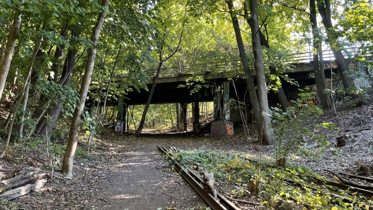 A path leads under an old, graffitied bridge in Forest Park, surrounded by dense, green woodland. Sunlight filters through the trees, casting dappled shadows on the ground. Rusty, abandoned train tracks run alongside the path.