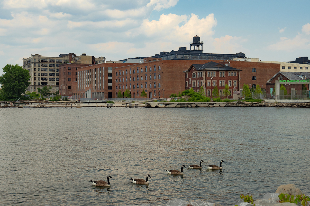 Five geese swim in a calm river with industrial brick buildings and a water tower in the background, under a partly cloudy sky.