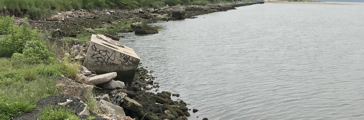 A rocky shoreline with scattered debris and a concrete block marked with graffiti sits along the edge of calm water under an overcast sky, with trees and greenery lining the coast. A rocky shoreline with scattered debris and a concrete block marked with graffiti sits along the edge of calm water under an overcast sky, with trees and greenery lining the coast.